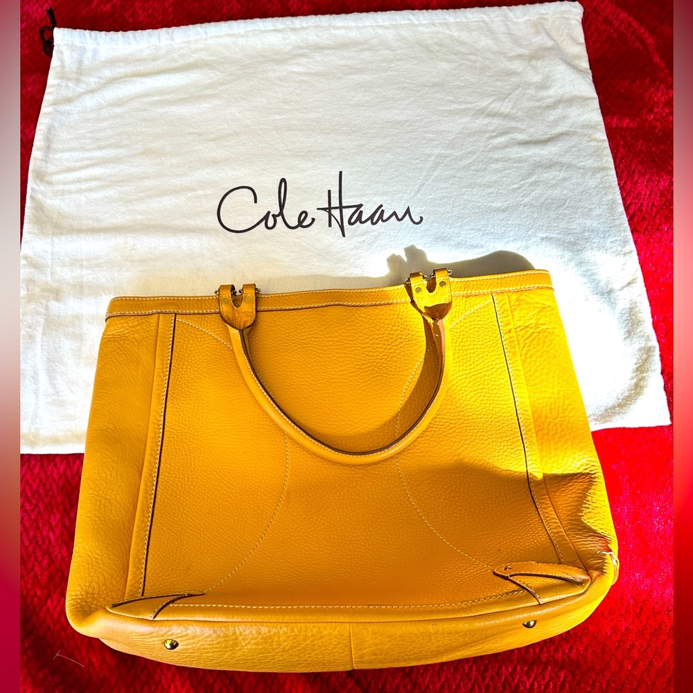 Cole Haan leather shoulder bag with original dust cover